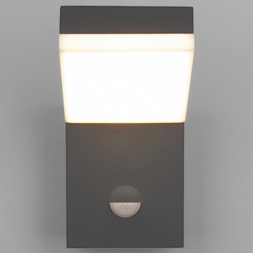 Накладной светильник Elektrostandard Sensor a053947 в Нижнем Новгороде