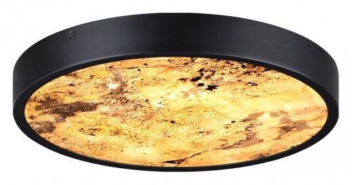 Накладной светильник Odeon Light Bergi 5064/24L в Нижнем Новгороде фото 3