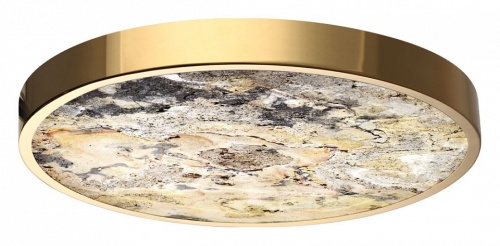 Накладной светильник Odeon Light Bergi 5079/40L в Нижнем Новгороде фото 6