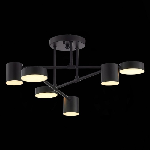 Потолочная люстра EVOLUCE Nobel SLE201042-06 в Нижнем Новгороде фото 10