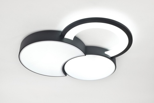 Потолочная люстра Rivoli Aliona Б0066452 в Нижнем Новгороде фото 11