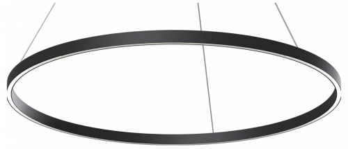 Подвесной светильник Maytoni Rim MOD058PL-L54BK в Нижнем Новгороде