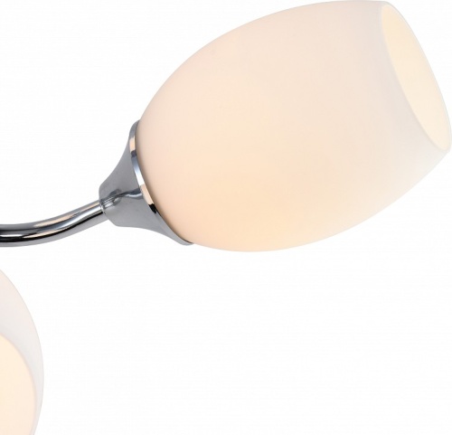 Потолочная люстра Rivoli Hollie Б0055379 в Нижнем Новгороде фото 7