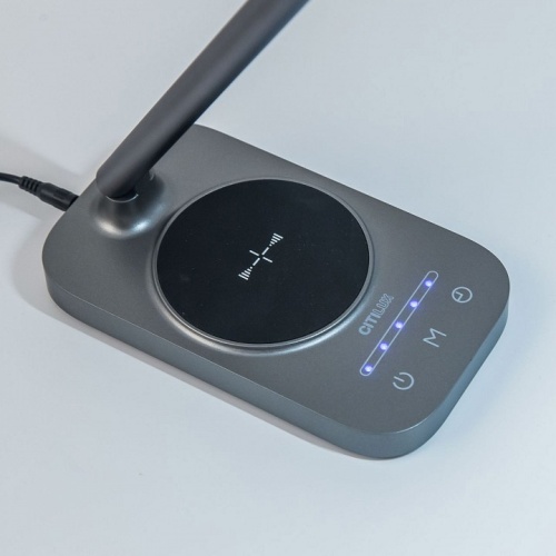 Настольная лампа декоративная Citilux Ньютон CL803052 в Нижнем Новгороде фото 3