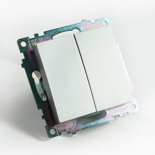 Переключатель двухклавишный без рамки Stekker Катрин 49168 в Нижнем Новгороде фото 5