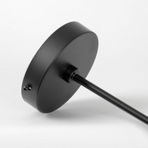 Люстра на штанге Lussole LSP-891 LSP-8913 в Нижнем Новгороде фото 3