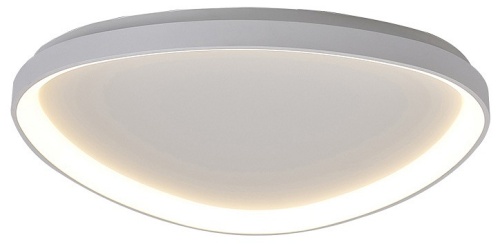 Накладной светильник Mantra Niseko 8633 в Нижнем Новгороде