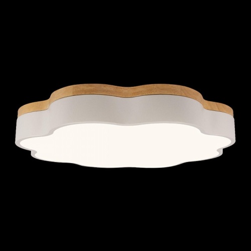 Накладной светильник Loft it Axel 10225/36 White в Нижнем Новгороде фото 5