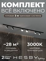 Комплект трековый Hesby Lighting Skylite №13 HSBL_kompl_S013_NI2B3K в Нижнем Новгороде