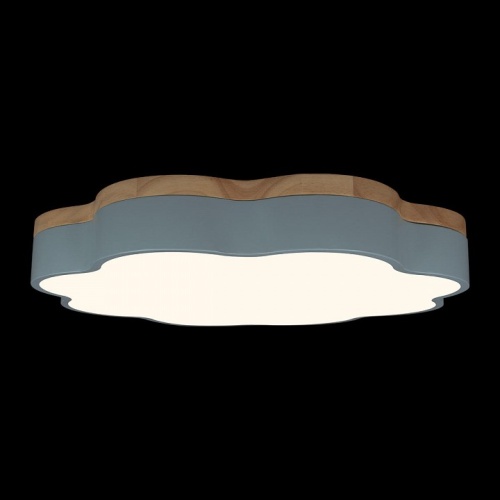 Накладной светильник Loft it Axel 10225/36 Blue в Нижнем Новгороде фото 4