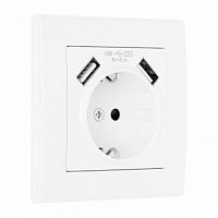 Розетка с заземлением и со шторкой и 2хUSB Arte Milano SET06-1 SET06-1-47-1 white в Нижнем Новгороде