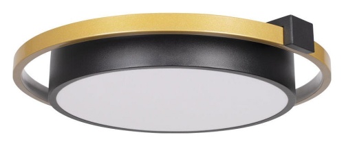 Накладной светильник Loft it Mike 10169 в Нижнем Новгороде фото 4