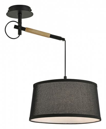 Светильник на штанге F-promo Eureka 3006-1P в Нижнем Новгороде фото 4