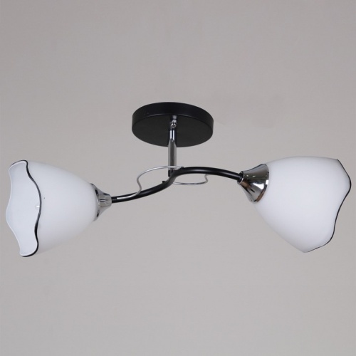 Светильник на штанге  79360-0.3-02 BK+CR в Нижнем Новгороде фото 3