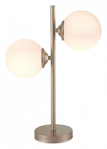 Настольная лампа декоративная ST-Luce Redjino SLE106204-02 в Рязани фото 3
