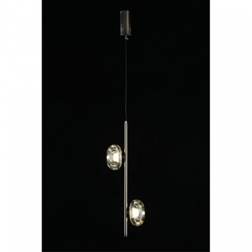 Подвесной светильник Aployt Tereze APL.074.16.02 в Нижнем Новгороде фото 16