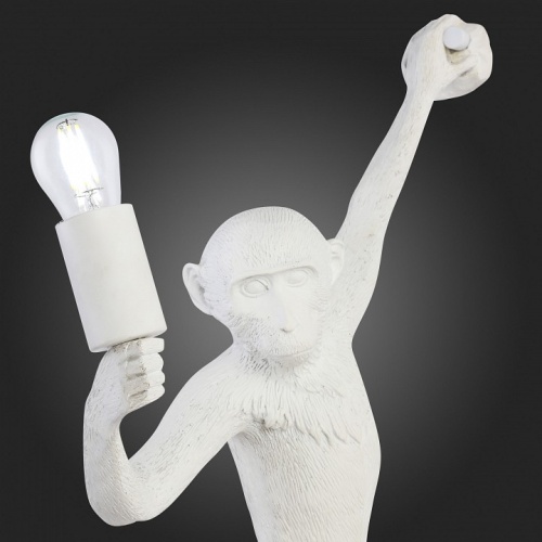 Накладной светильник EVOLUCE Tenato SLE115111-01 в Нижнем Новгороде фото 8