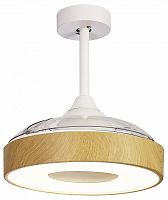 Светильник с вентилятором Mantra (люстры-вентиляторы) Coin 8220 в Нижнем Новгороде