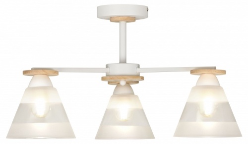 Люстра на штанге Rivoli Theothila Б0068434 в Нижнем Новгороде фото 3