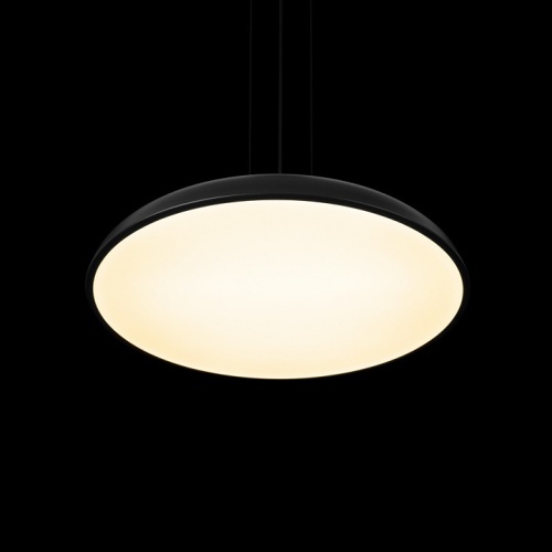 Подвесной светильник Loft it Dime 10371P Black в Нижнем Новгороде фото 5