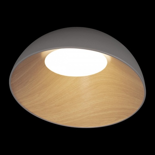 Накладной светильник Loft it Egg 10197/500 Grey в Бугульме фото 4