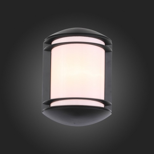 Накладной светильник ST-Luce Agio SL076.401.01 в Мегионе фото 4