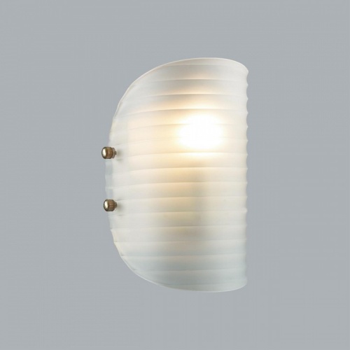 Накладной светильник Lumion Fioro 6571/1W в Нижнем Новгороде фото 2