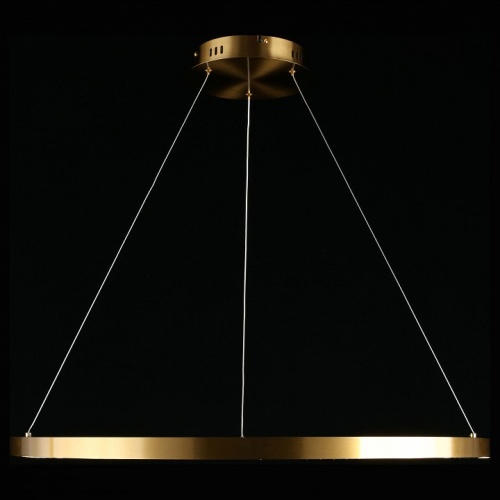 Подвесной светильник Aployt Noella APL.051.13.43 в Нижнем Новгороде фото 7