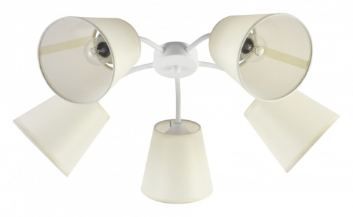 Потолочная люстра Rivoli Aimee Б0059972 в Нижнем Новгороде