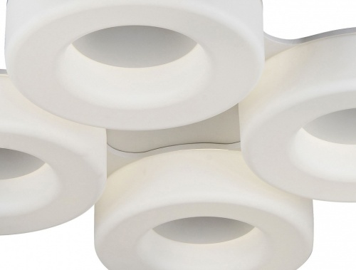 Потолочная люстра ST-Luce Lordin SL886.552.04 в Нижнем Новгороде фото 2