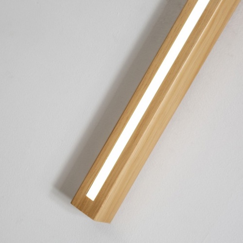 Накладной светильник Favourite Timber 4188-1W в Арзамасе фото 4