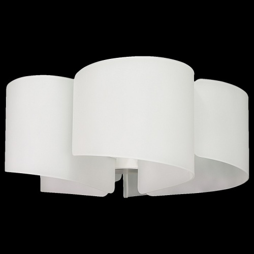 Потолочная люстра Lightstar Pittore 811050 в Нижнем Новгороде фото 5