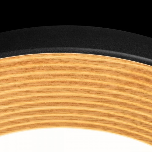 Накладной светильник Loft it Folk 10255/500 Black в Нижнем Новгороде фото 3