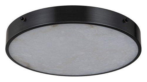 Накладной светильник Belfast Devon 3395-4 BL MB в Нижнем Новгороде