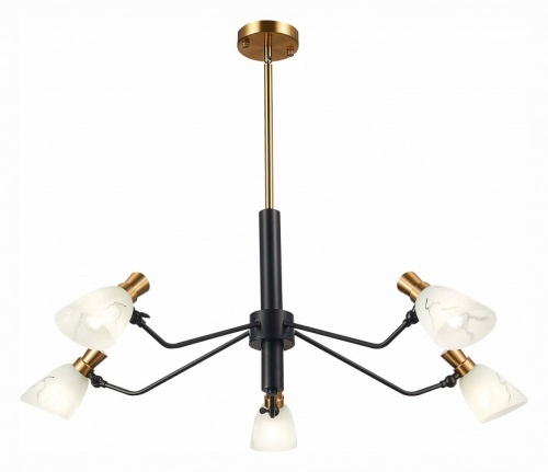 Люстра на штанге EVOLUCE Lita SLE205403-05 в Нижнем Новгороде фото 5