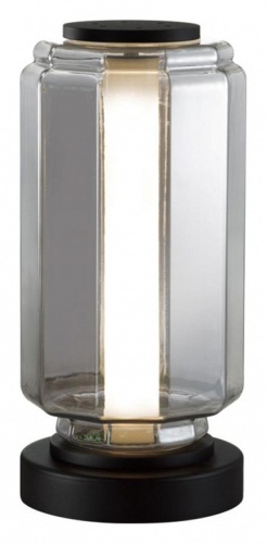 Настольная лампа декоративная Odeon Light Jam 5408/10TL в Нижнем Новгороде фото 5