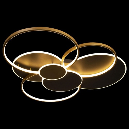 Потолочная люстра Loft it Megan 10163 Black в Нижнем Новгороде фото 4