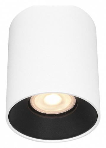 Накладной светильник ST-Luce ST167 ST167.542.01 в Нижнем Новгороде