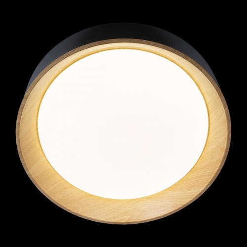 Накладной светильник Loft it Coin 10202 Black в Нижнем Новгороде фото 2