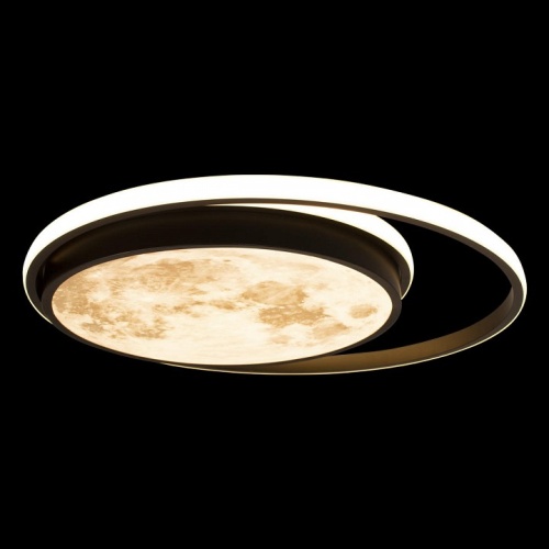 Накладной светильник Loft it Luna 10217 в Нижнем Новгороде фото 6