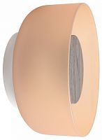 Накладной светильник Loft it Totem 10466W Amber matte wood в Нижнем Новгороде