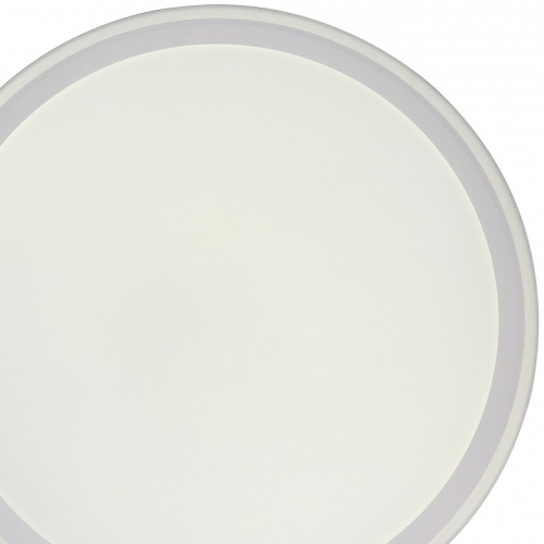 Накладной светильник Zortes Bella ZRS.1200.09 в Нижнем Новгороде фото 2