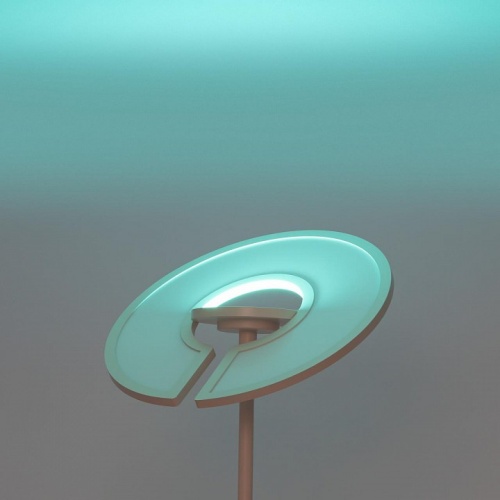 Торшер Citilux LOONG CL810030 в Нижнем Новгороде фото 5