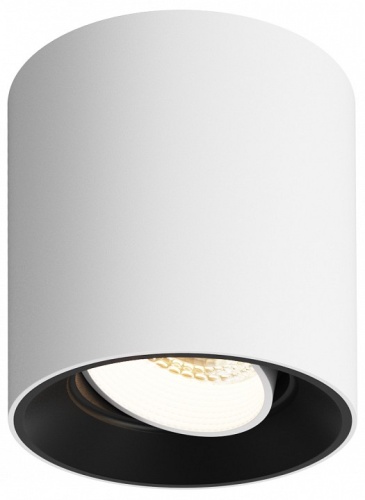 Накладной светильник Denkirs Rodvig DK3090-WB+WH в Нижнем Новгороде фото 3