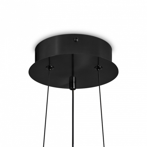 Подвесной светильник Freya Citrus FR5398PL-L8B в Нижнем Новгороде фото 2