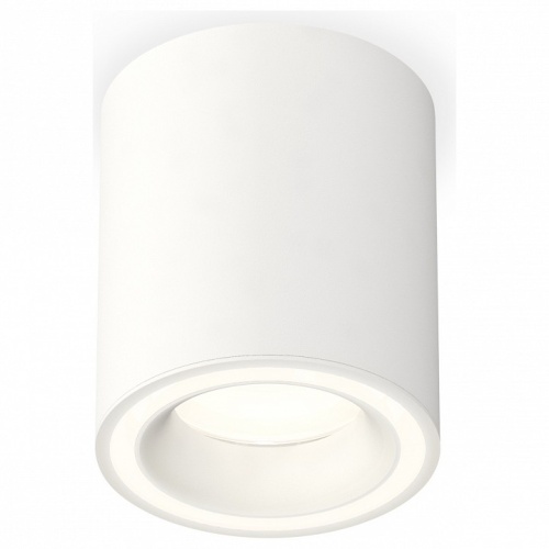 Накладной светильник Ambrella Light XS XS7421020 в Нижнем Новгороде