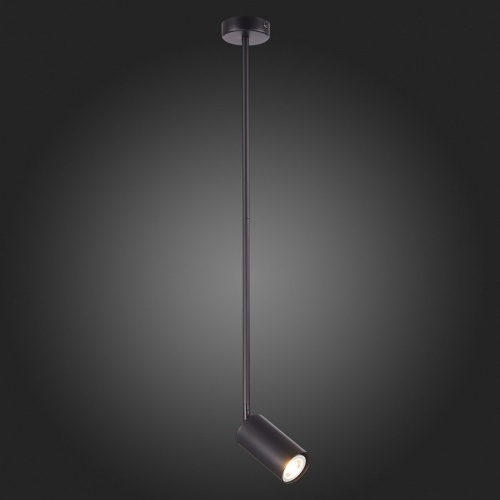 Светильник на штанге ST-Luce Sormano SL1206.403.01 в Нижнем Новгороде фото 5