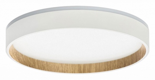 Накладной светильник Citilux Etalon CL750240 в Нижнем Новгороде