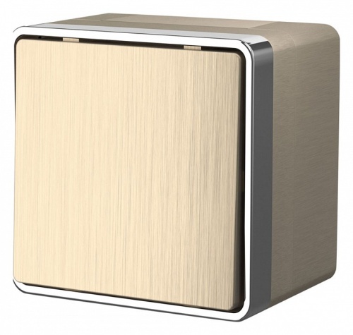 Выключатель одноклавишный влагозащищенный Werkel Gallant (шампань рифленый) W5010210 в Нижнем Новгороде