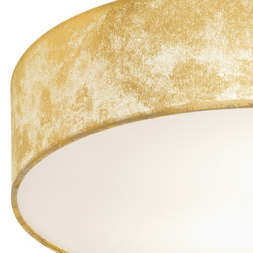 Накладной светильник Eglo Viserbella 97641 в Нижнем Новгороде фото 3